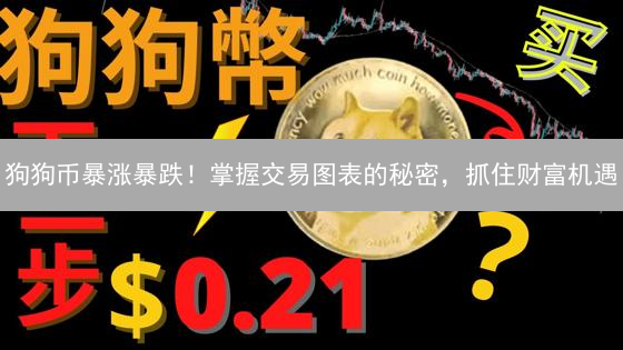 狗狗币暴涨暴跌！掌握交易图表的秘密，抓住财富机遇？