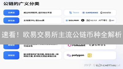 速看！欧易交易所主流公链币种全解析：抓住暴富机会？