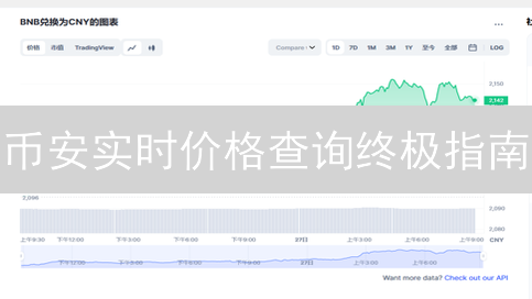 币安实时价格查询终极指南：选对渠道，快人一步！