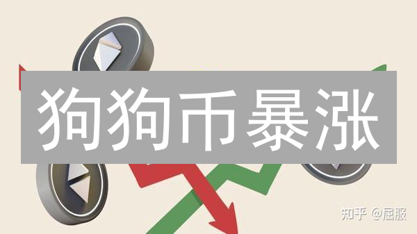 狗狗币暴涨？2024年比特币/DOGE价格预测全攻略！