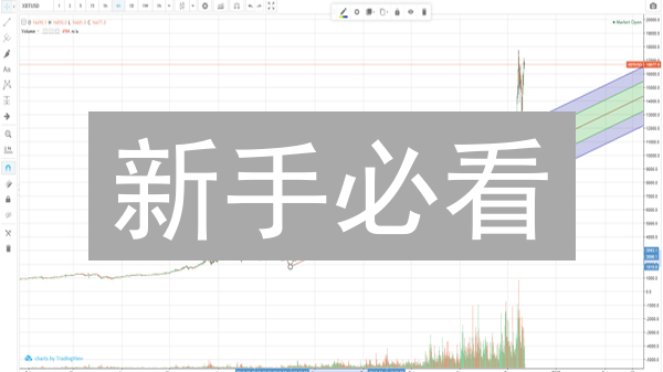 新手必看：如何判断比特币长期趋势？2024最新策略！