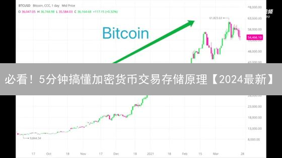 必看！5分钟搞懂加密货币交易存储原理【2024最新】