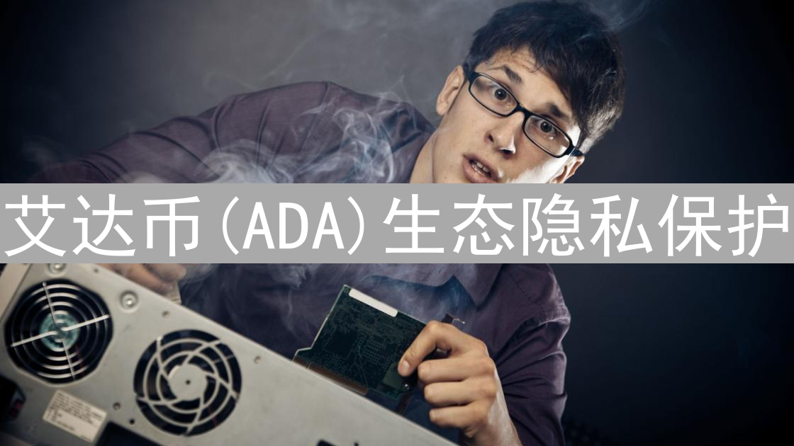 艾达币(ADA)生态隐私保护：现状、挑战与未来展望