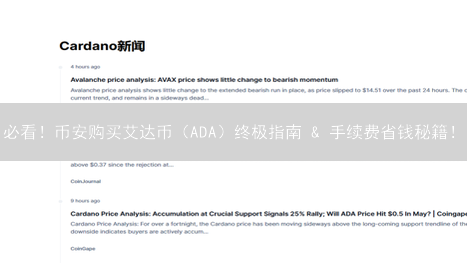 必看！币安购买艾达币（ADA）终极指南 & 手续费省钱秘籍！