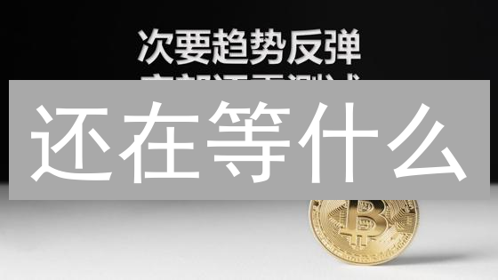 还在等什么？现在入场BCH，抓住财富机遇！