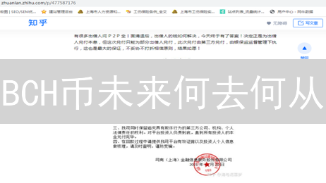 BCH币未来何去何从？技术、市场与社区深度解析！