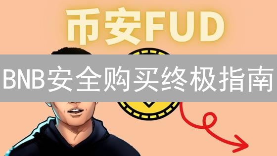 BNB安全购买终极指南：交易所、DEX、P2P，哪个最靠谱？