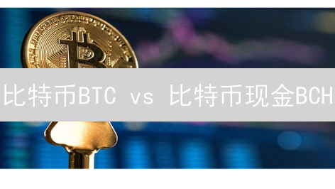 比特币BTC vs 比特币现金BCH：投资价值深度对比与未来趋势分析