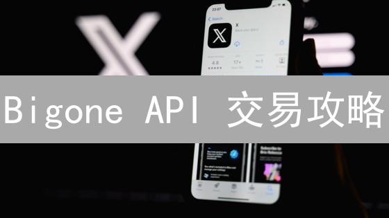 Bigone API 交易攻略：手把手教你用 Python 轻松上手！