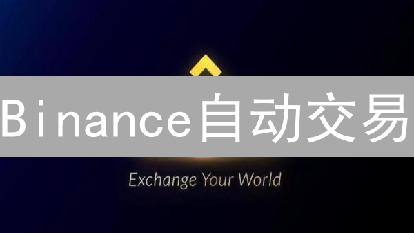Binance自动交易：解放双手，躺赚数字货币？