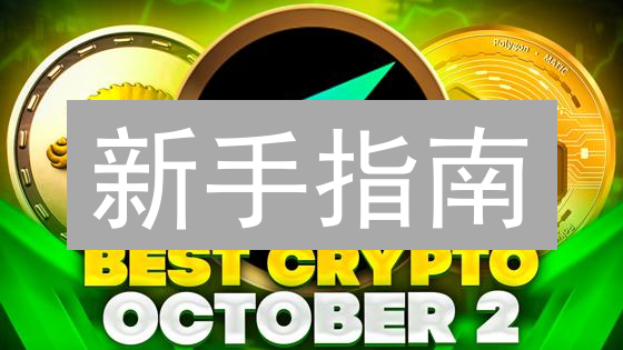 新手指南：只需五步，轻松掌握 BitcoinSV (BSV) 购买技巧！