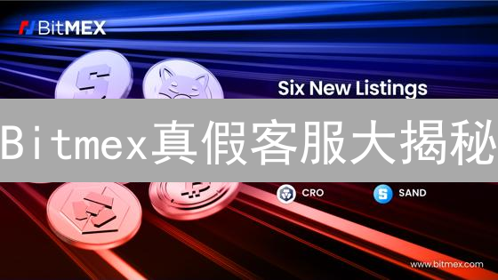 Bitmex真假客服大揭秘：新手必看防骗指南！