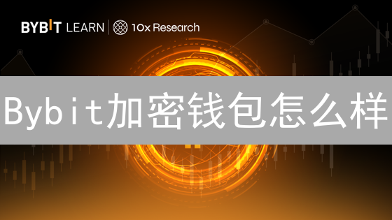Bybit加密钱包怎么样？2024最新功能、安全与使用指南