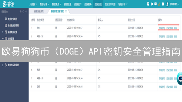 欧易狗狗币（DOGE）API密钥安全管理指南：防盗用，保安全！