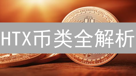 HTX币类全解析：如何掘金加密货币市场？