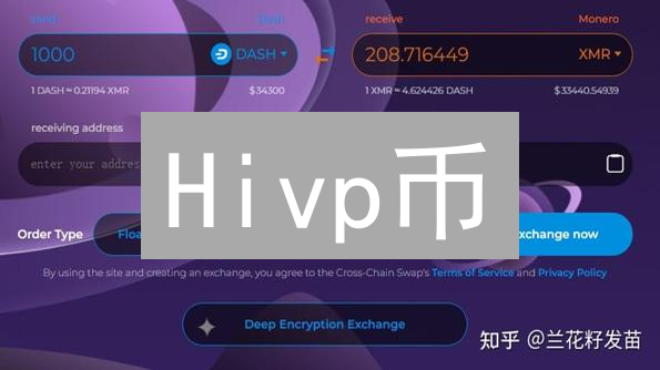 Hivp币：匿名、社区与去中心化存储的探索