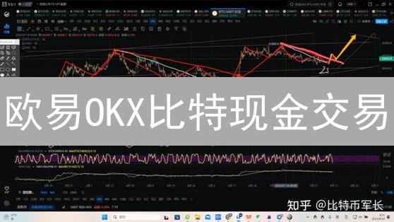 欧易OKX比特现金交易：避坑指南！新手必看，老手精进！