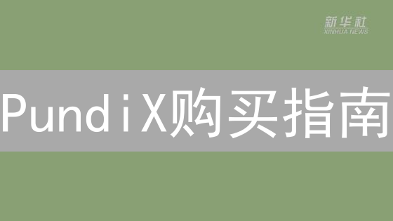 PundiX购买指南：加密货币投资实用指南