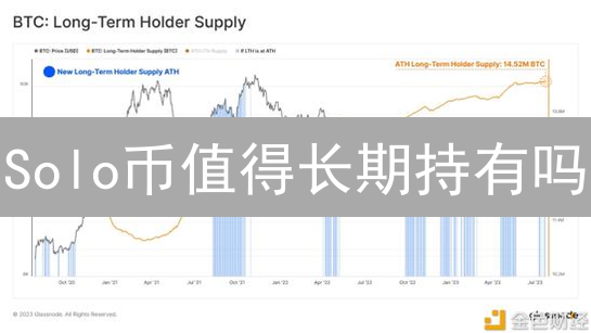 Solo币值得长期持有吗？揭秘Sologenic生态价值【深度剖析】