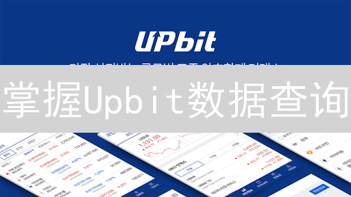 掌握Upbit数据查询：解锁韩国交易所的交易洞察！