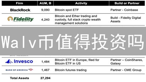 Walv币值得投资吗？2024年 Walv 币前景分析，快速了解！