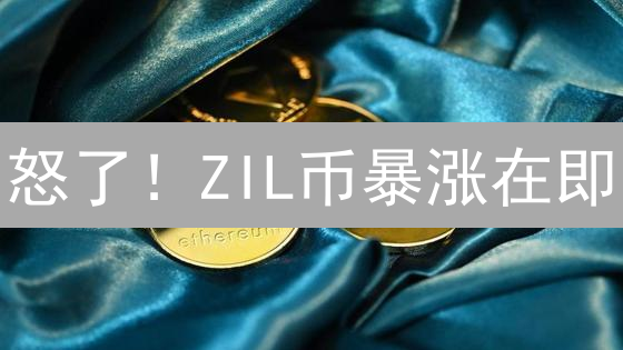 怒了！ZIL币暴涨在即？HTX购买Zilliqa终极指南，错过血亏！
