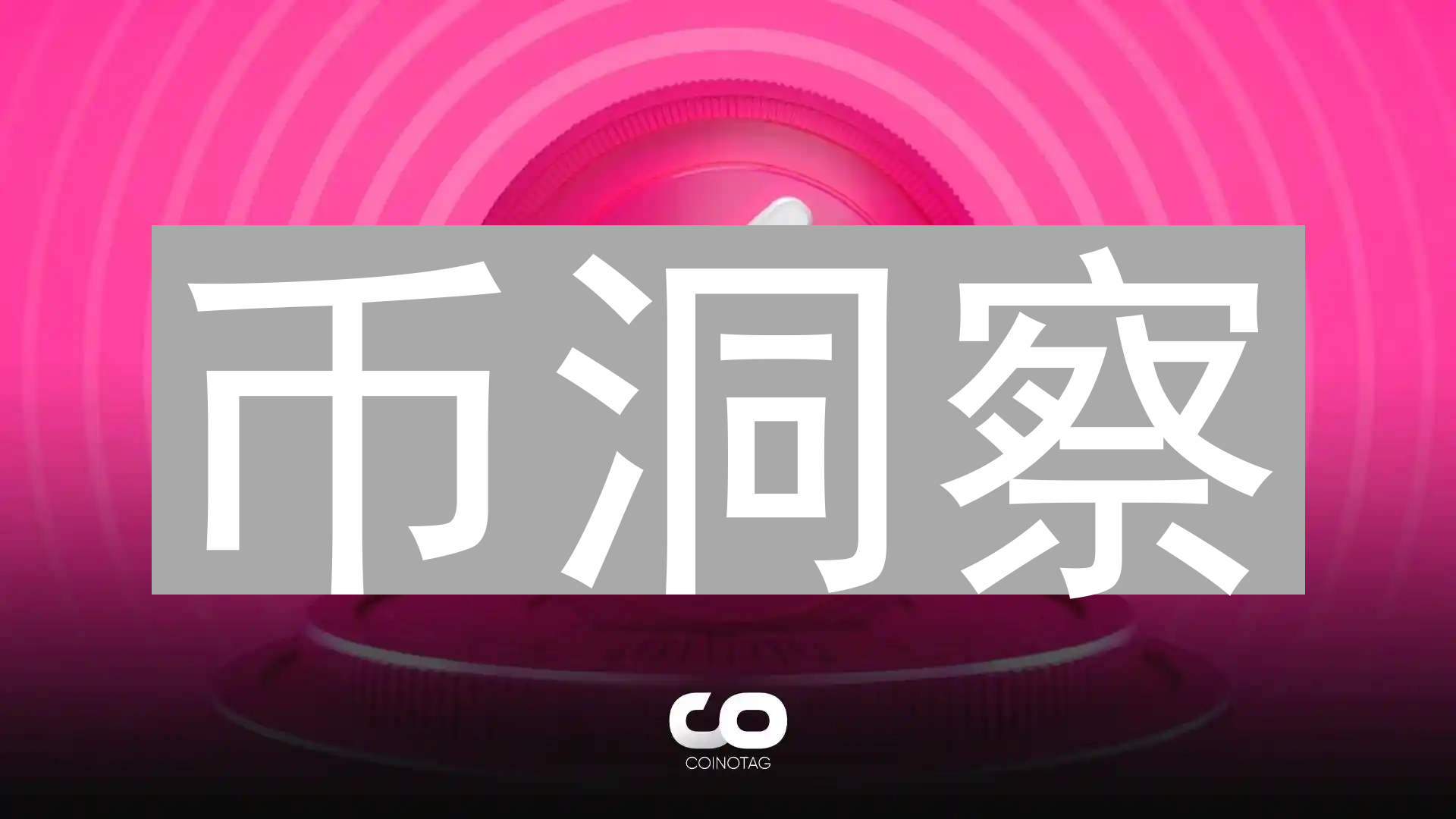 关于币洞察